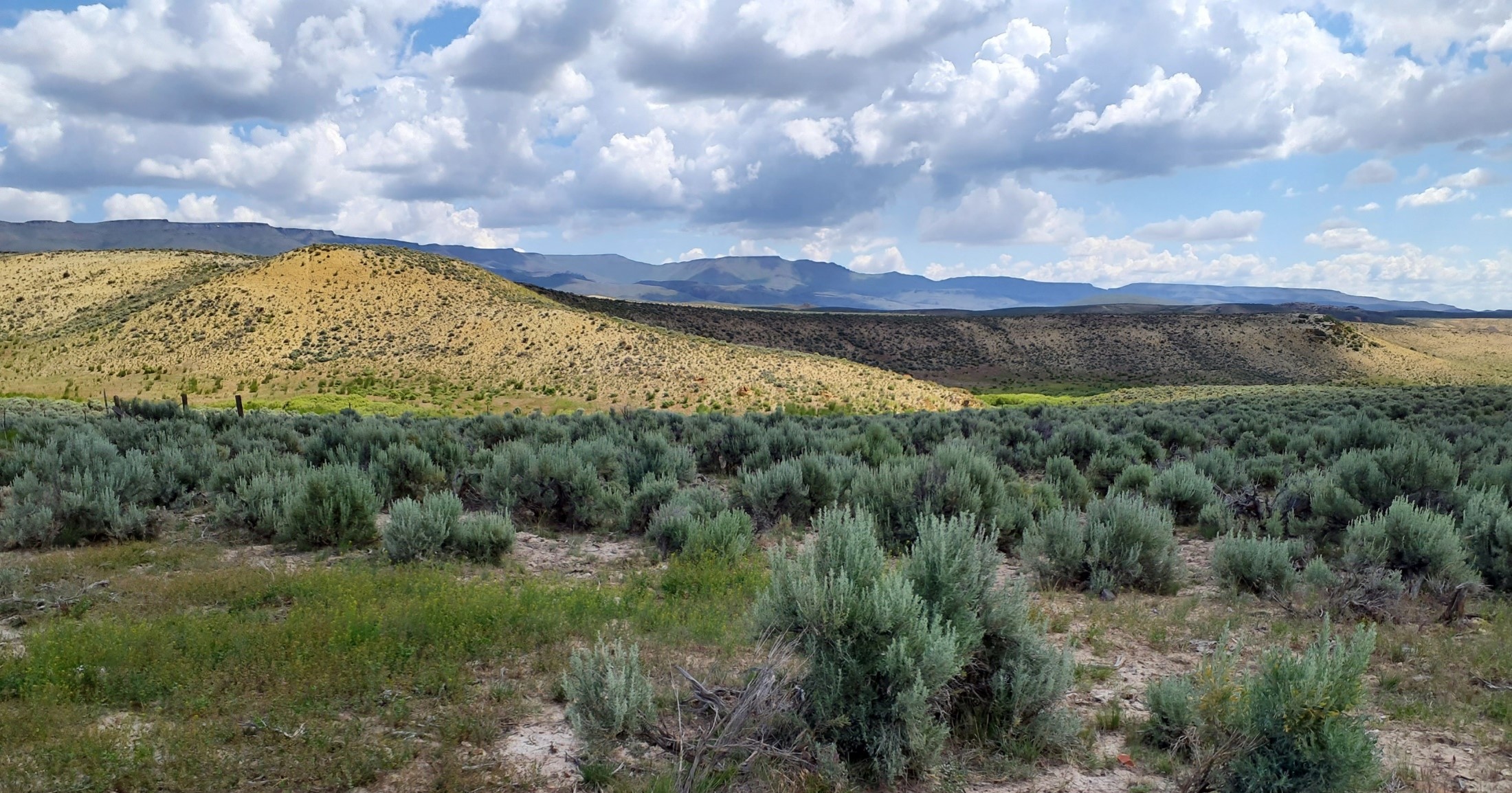 Photo of the exploration area, BLM photo